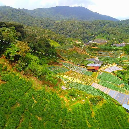 3 Rooms Apt @ Crown Imperial Court Cameron Highlands Extérieur photo